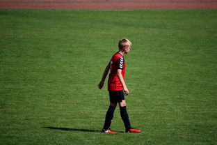 开云网站-世界青年滑板锦标赛中国少年夺奖，青少年滑板联赛