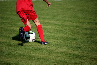 开云中国-篮球运动员专项技能训练课程体系创新探索，篮球专项训练方案