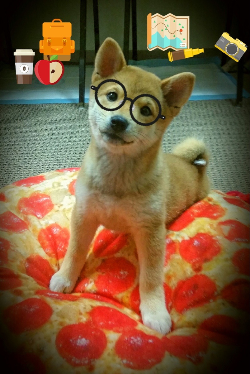 KAIYUN 中国大陆-高水平选手划幅平均值公布，高水平的画