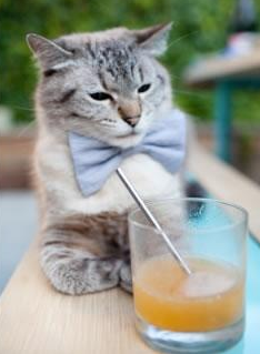 开云官网-《冠军故事》揭秘张帅的真实人生态度,张帅比赛录像